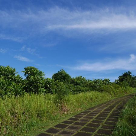 Sari Villa Ubud Luaran gambar